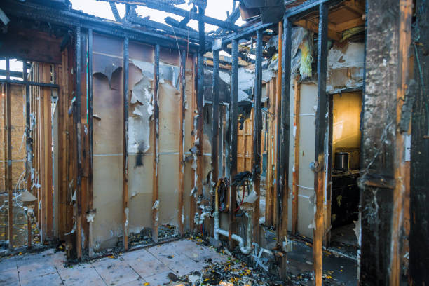 Professional Odor Removal technician working in Roanoke, VA