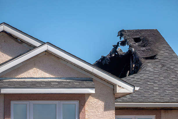 Top rated local Odor Removal specialists in Roanoke, VA